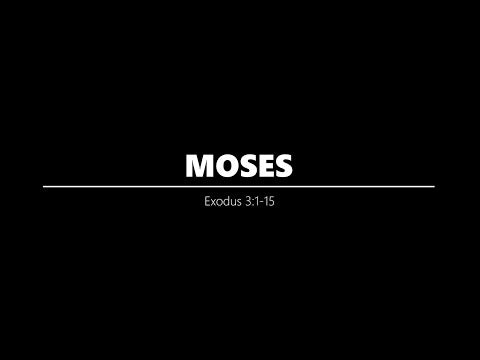 MOSES :: AUDIO STORY